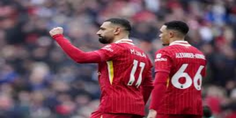 关键数据对比-体育平台