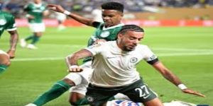 竞技与财务双重收益-体育平台