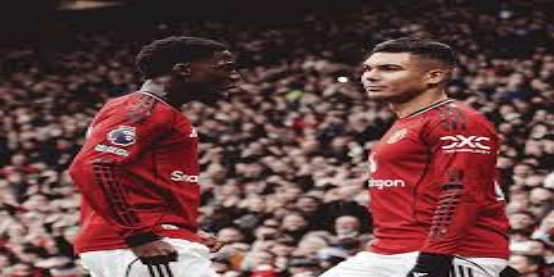 未来展望与风险提示 -体育平台