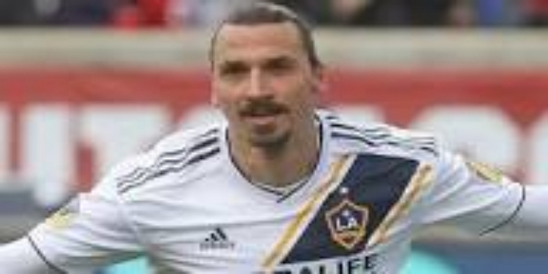 球迷心声：上帝与国王的洛杉矶传奇-体育平台