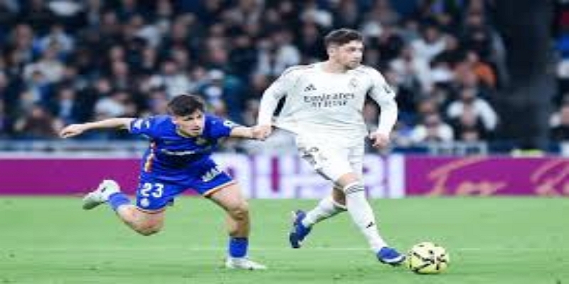 红牌规则引发教练争议 -   体育平台