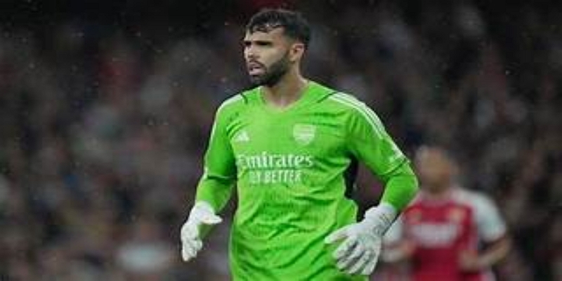 冠军与情感并存：体育平台记录的温情瞬间-体育平台