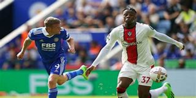 布莱顿vs富勒姆—主场稳定性与客场低迷之间的关键对冲-体育平台