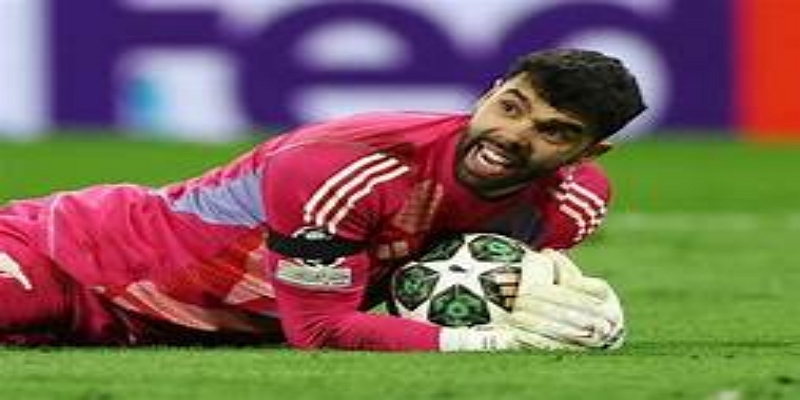 技术进化：体育平台解析现代门将模板-体育平台